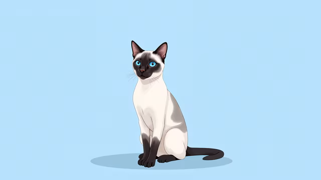 Siamese Cat Illustration