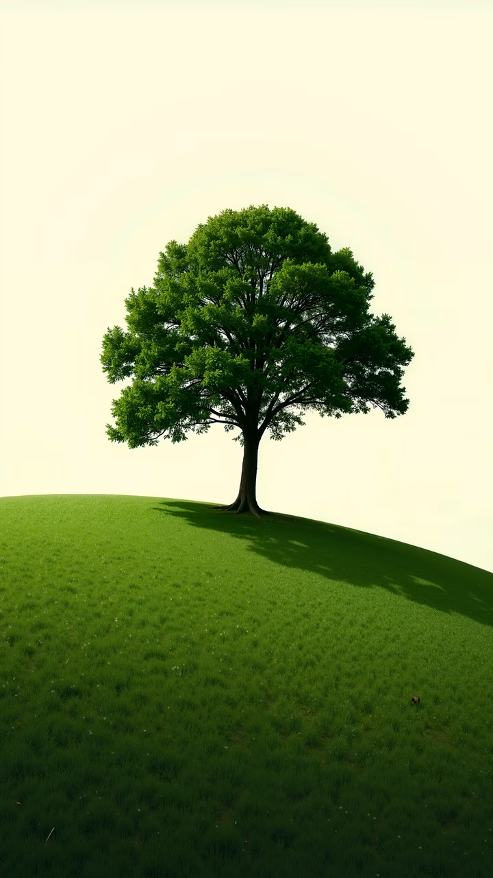 A tranquil illustration of a lone tree on a green hill, symbolizing peace and nature.