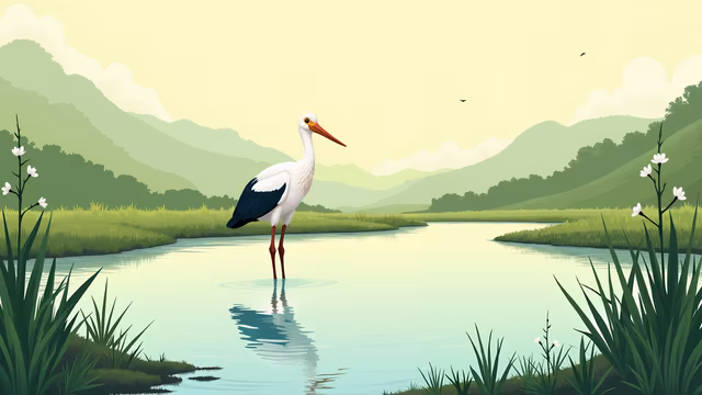 Stork by the Pond