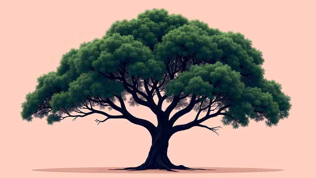 Tree Illustration