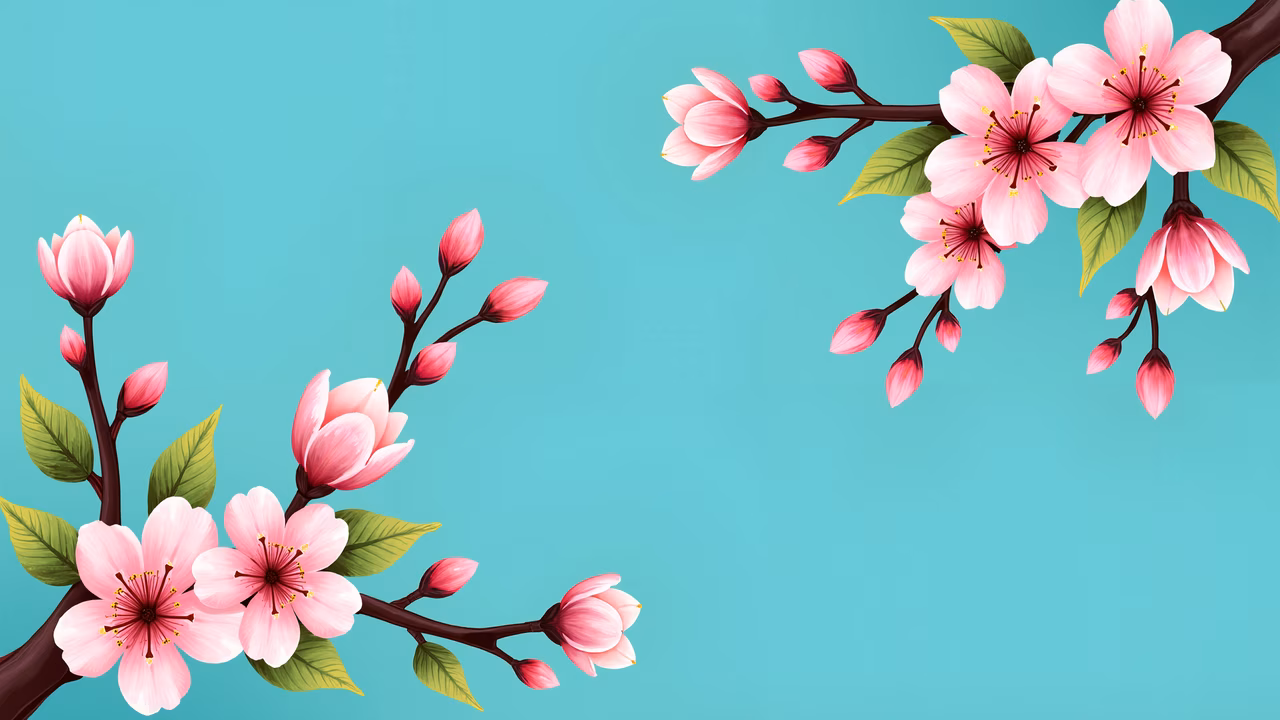 Delicate cherry blossoms on a turquoise background, evoking tranquility and natural beauty.