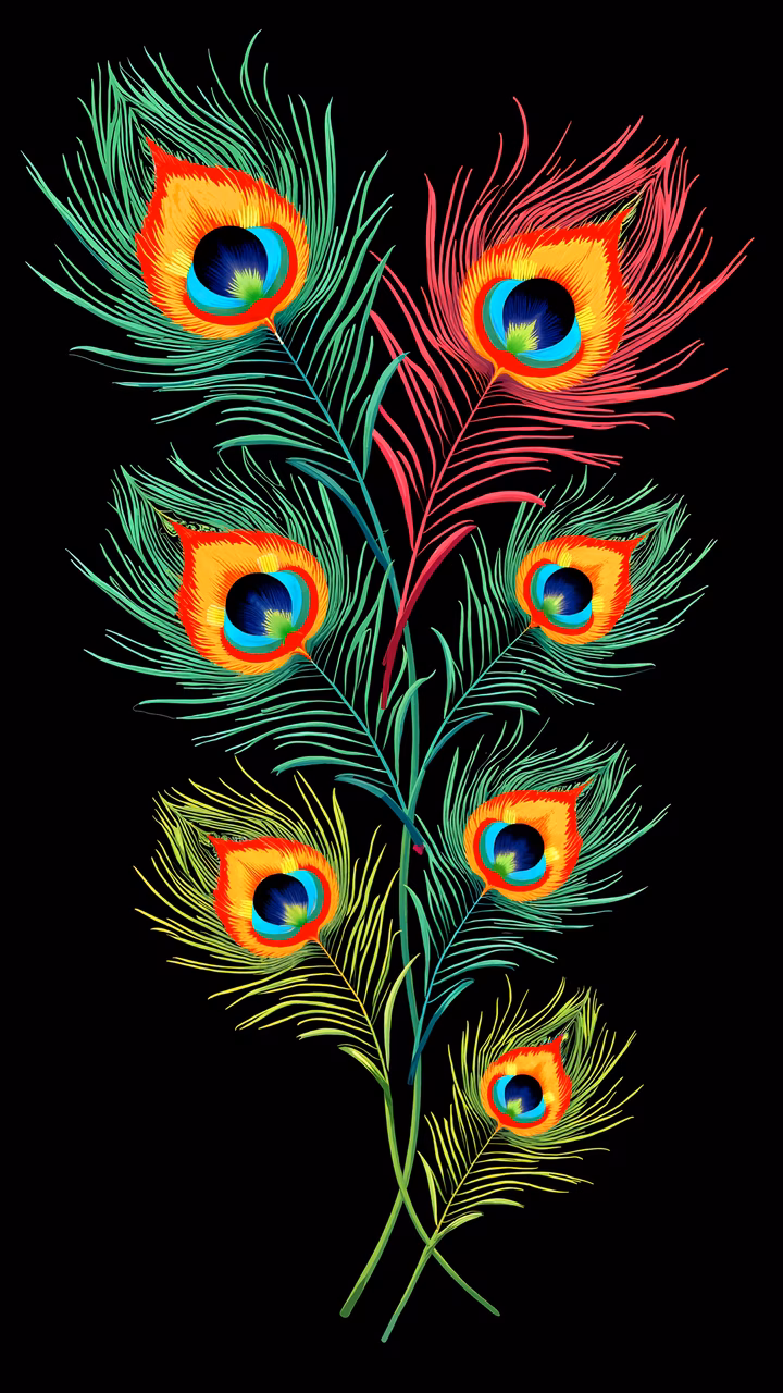 Vibrant peacock feathers on a black background, showcasing detailed illustration art.