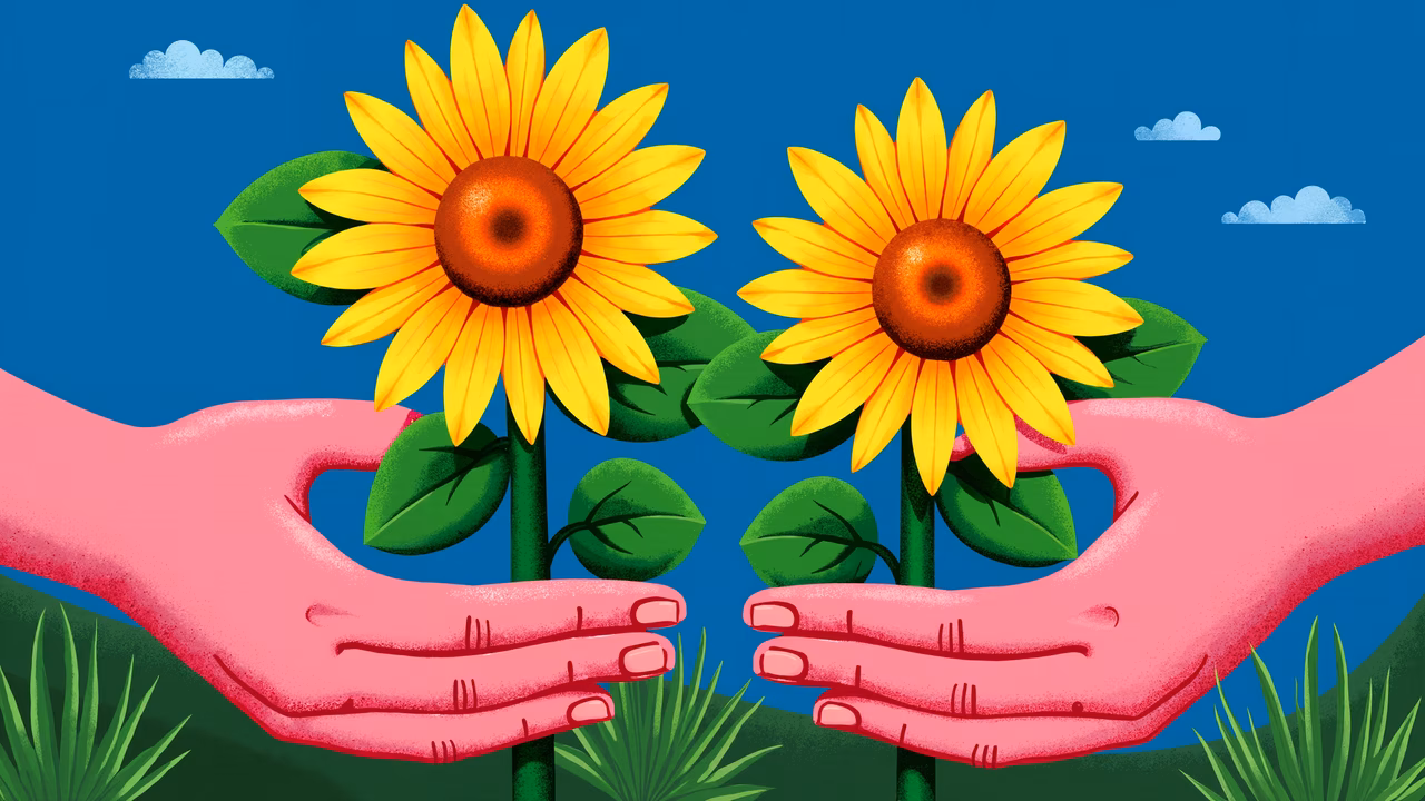 Gentle hands holding sunflowers under a blue sky, symbolizing care and unity.