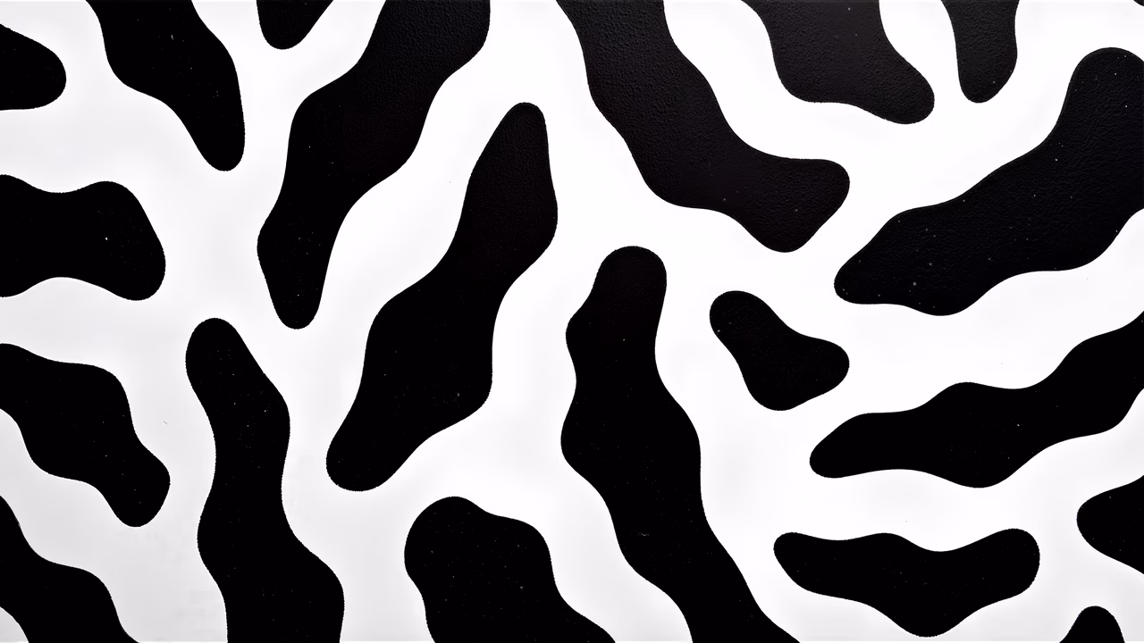 Dynamic abstract pattern in black and white, emphasizing contrast and movement.