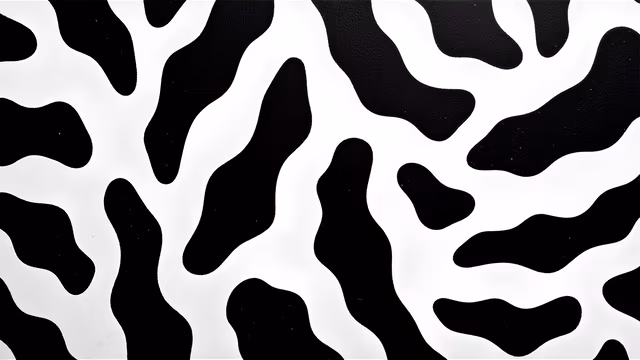 Abstract Black and White Pattern