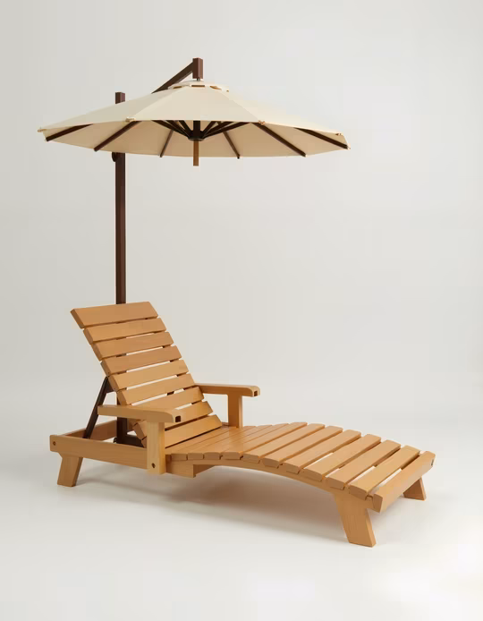Beach Chair with Umbrella