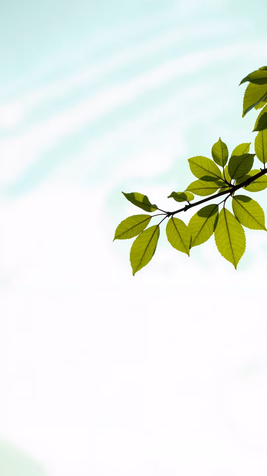 Bright Green Leaves