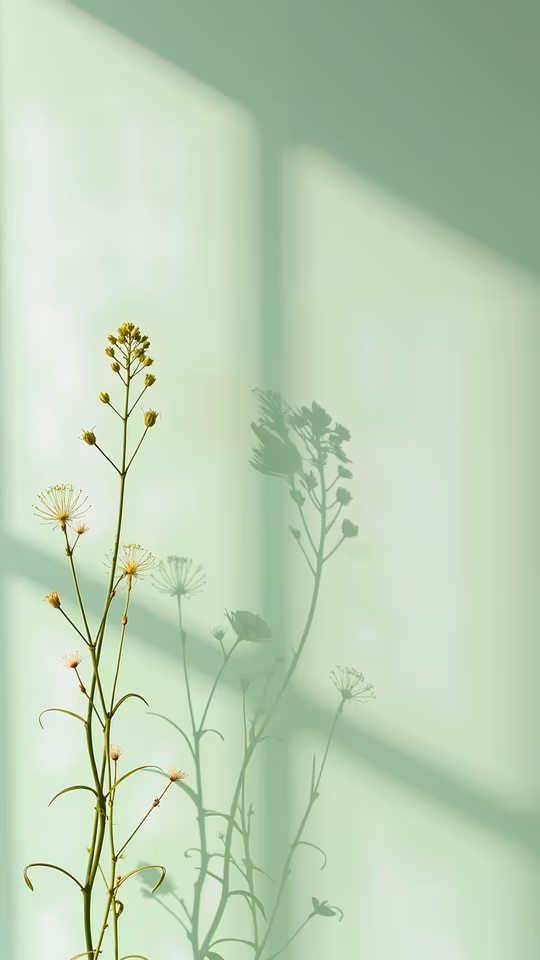 Silhouette Flowers