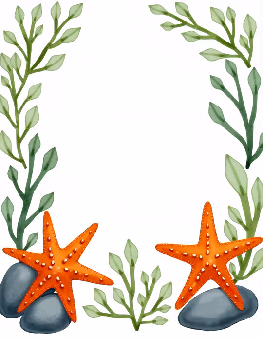 Starfish and Seaweed Illustration