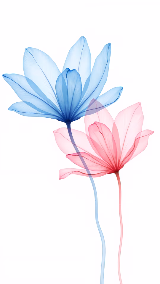 Translucent Flowers