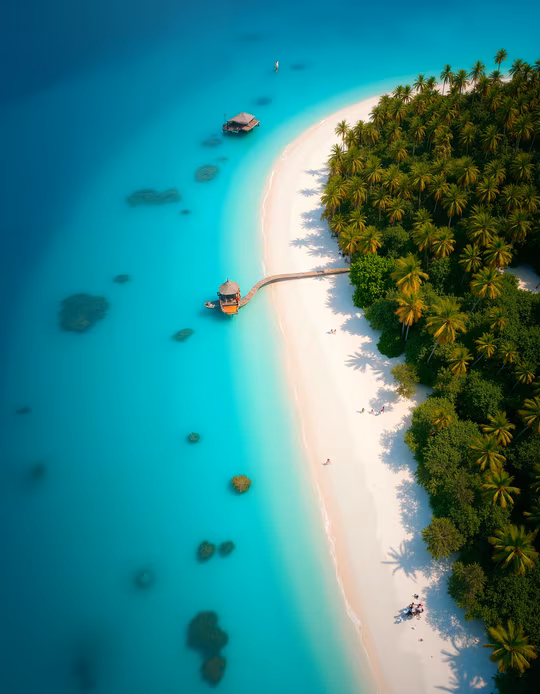 Tropical Paradise