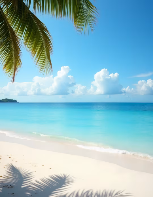 Tropical Paradise