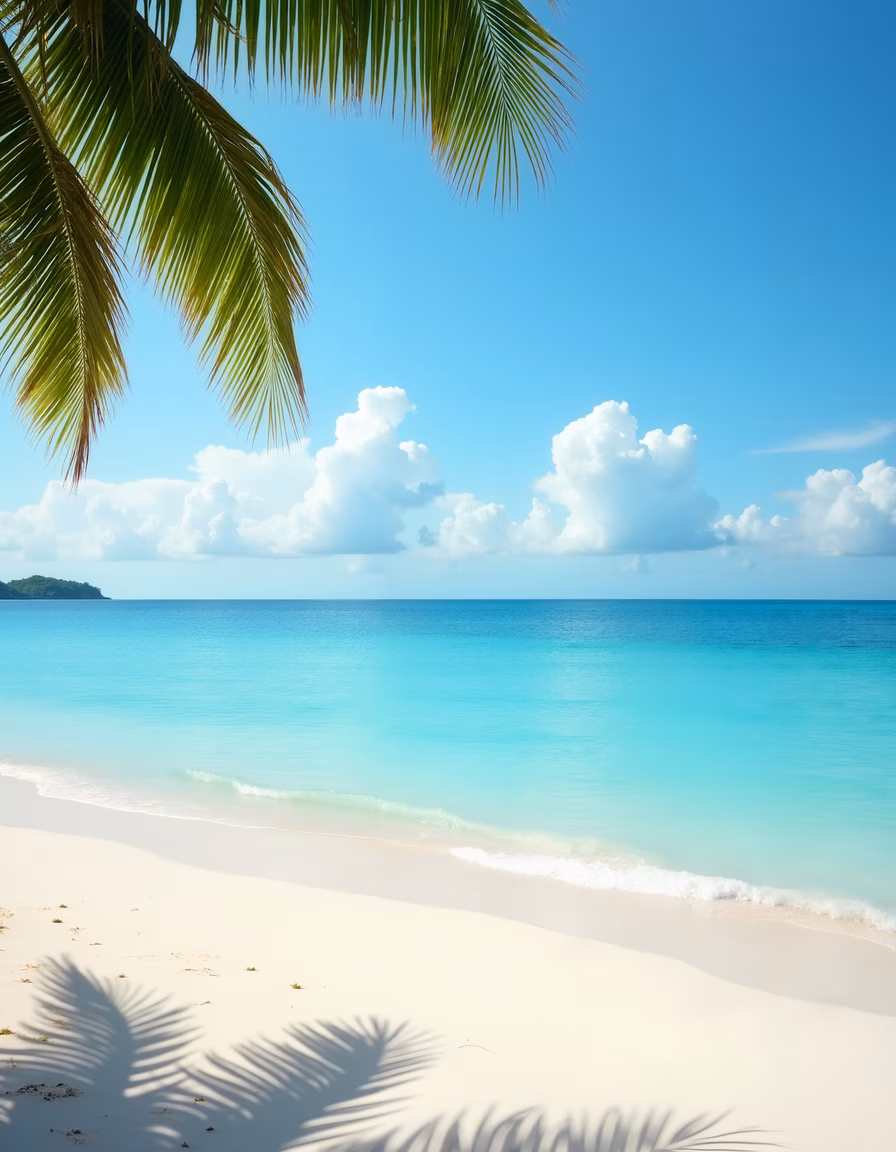 A picturesque tropical beach with clear waters and palm fronds.