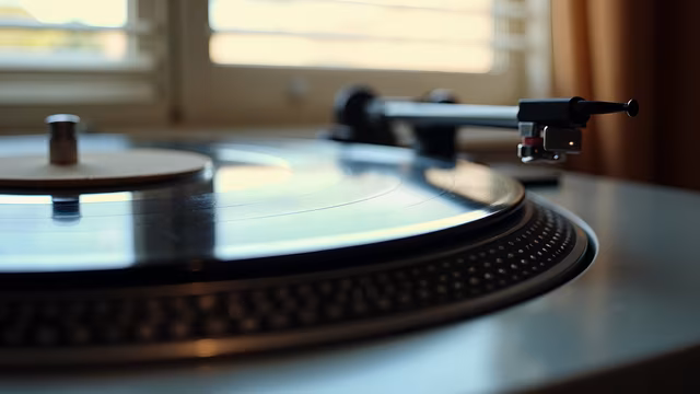 Vinyl Record Player