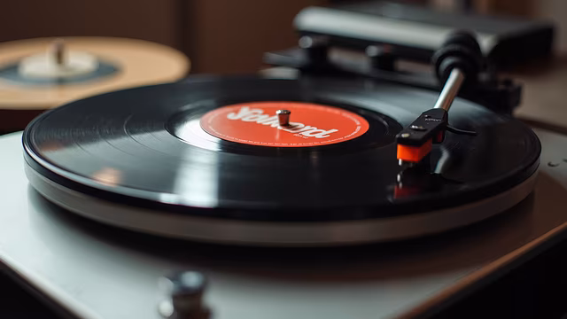Vinyl Record Player
