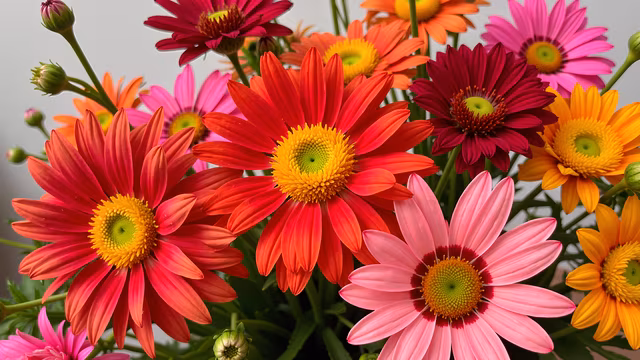 Colorful Floral Bouquet