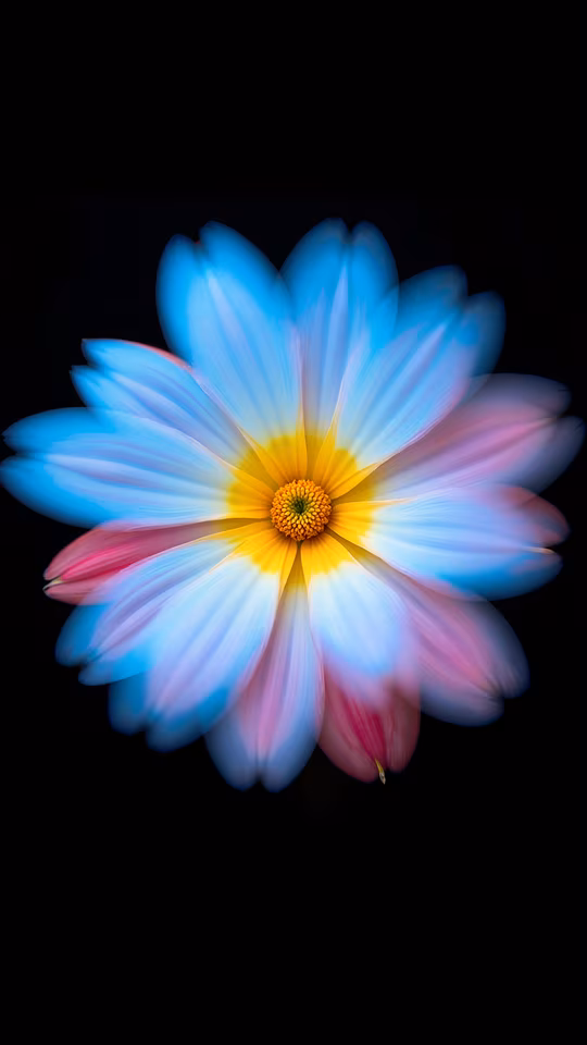 Colorful Flower Illustration