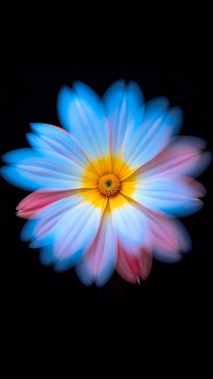 Vibrant floral illustration with colorful petals on a black background.