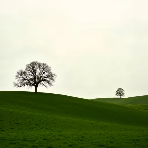 Lonely Trees on Rolling Hills