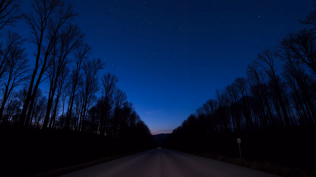 A tranquil night road under a starlit sky, framed by bare trees.