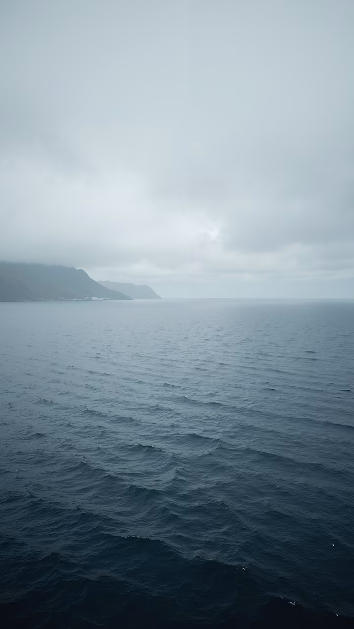 Misty ocean landscape, serene and introspective.
