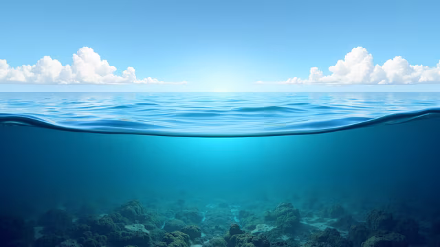 Ocean Split
