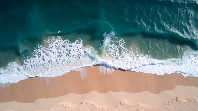 Aerial Beach Scene
