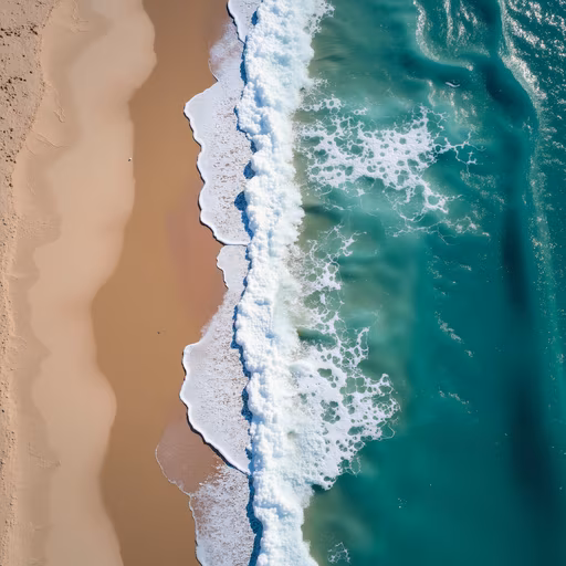 Beach from Above