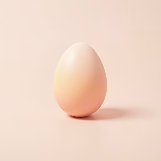 Egg Minimalist Illustration