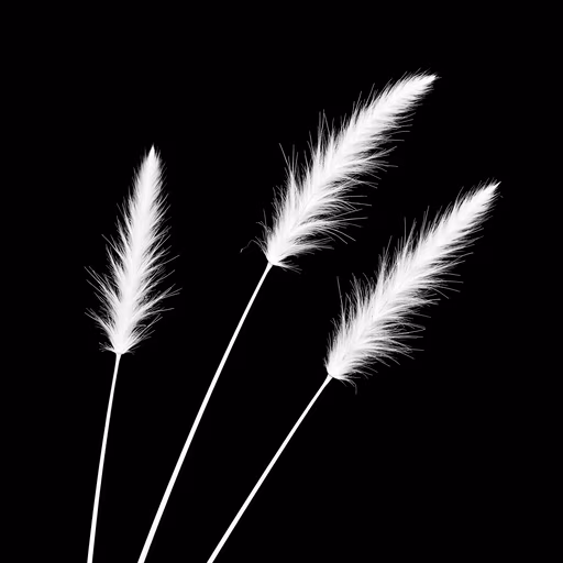 Feathered Stalks
