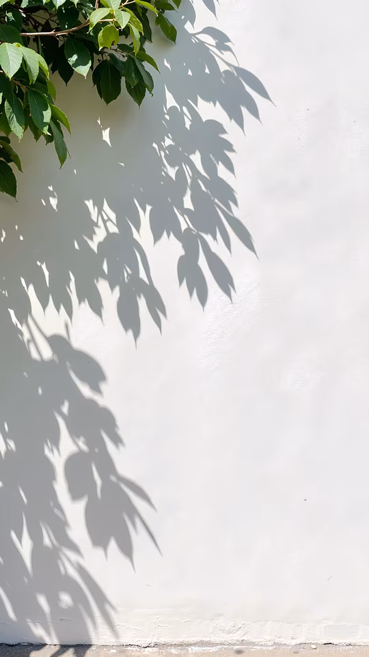 Leaf Shadows on White Wall