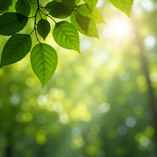 Lush Green Leaves
