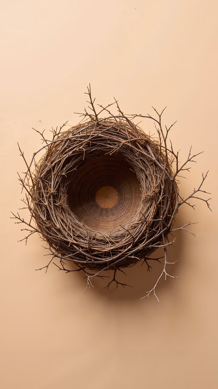 A close-up of a bird's nest made from twigs, set against a beige background.