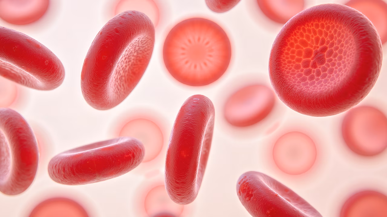 Detailed illustration of red blood cells with realistic textures and soft pastel colors.
