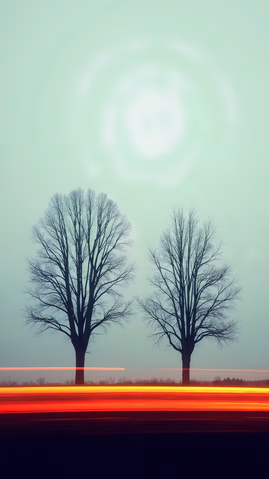 Silhouettes of Trees with Light Trails
