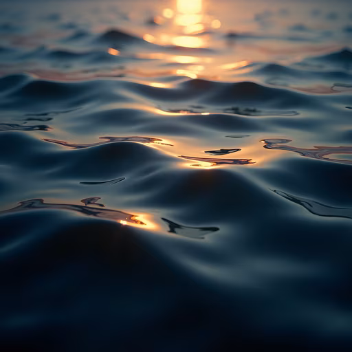 Sunset Reflections