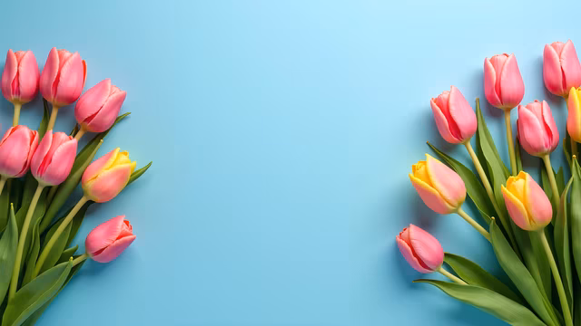 Tulips on Blue