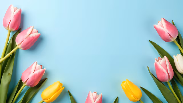 Tulips on Blue