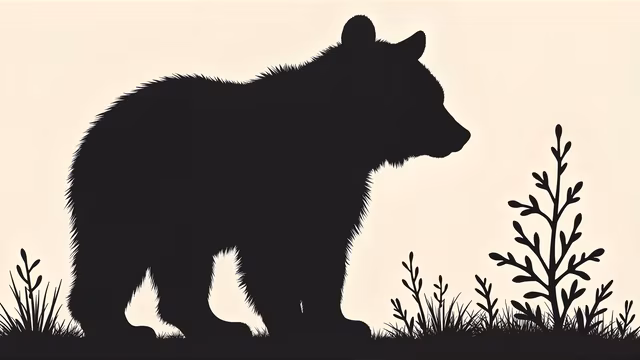 Bear Silhouette