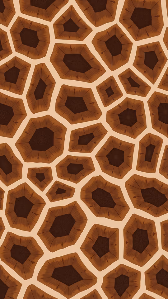 Giraffe Skin Pattern