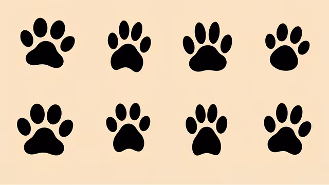 Paw Prints Illustration