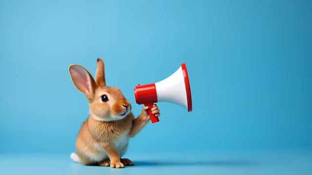 Rabbit with Megaphone