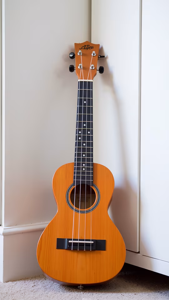 Acoustic Ukulele