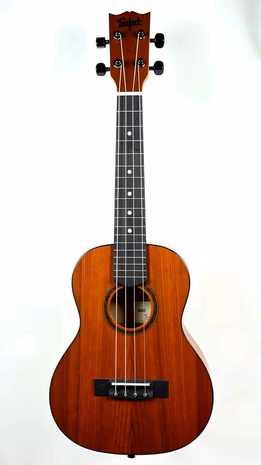 Acoustic Ukulele