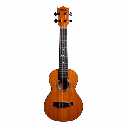 Acoustic Ukulele