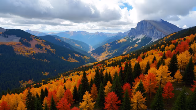 Autumn Landscape
