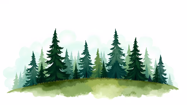 Forest Illustration
