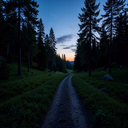 Forest Path at Twilight