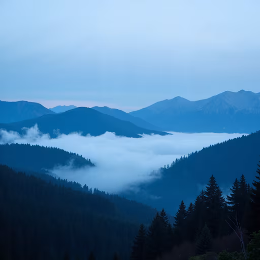 Mountain Mist
