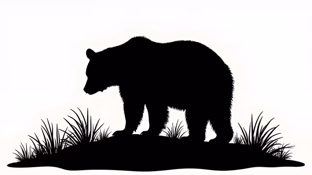 Silhouette Bear